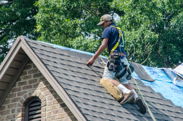 Best Roof Repair Services  in Woodstock, IL